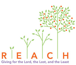 REACH Logo Icon